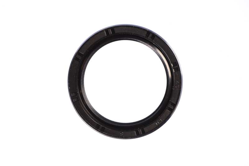 Differential gear oil seal